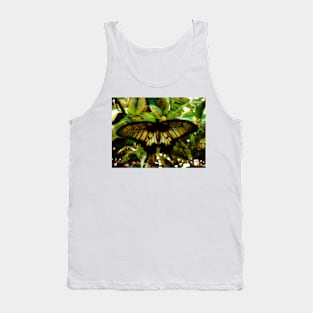 The Butterfly's' Abstraction Tank Top